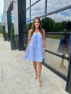 Blue Gingham Dress